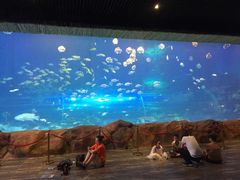 -华夏文旅海洋公园