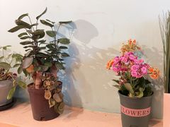 -柴窝堡22号传承新疆菜·新疆辣子鸡