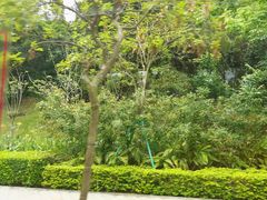 -石排湾郊野公园