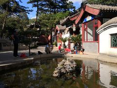-红螺寺