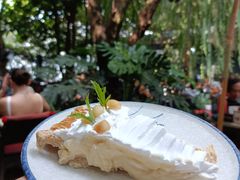 -Fern Forest Cafe