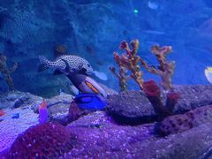 -沈阳海洋探索中心