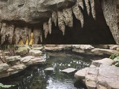 -南山植物园