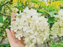 -大龙山(地铁站)