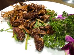 -百味地锅鸡(二店·财校分店)