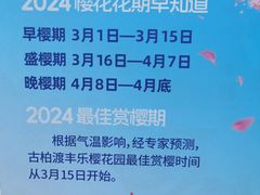 -古柏渡丰乐樱花园