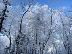 -雪谷
