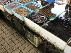 -南沙十九涌渔人码头-南门