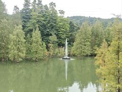 -广州市帽峰山景区