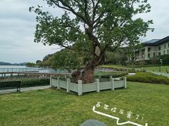 -东钱湖小普陀景区