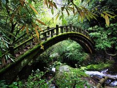 -神农架香溪源景区