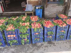 -大连果菜批发市场