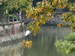 -晓港公园