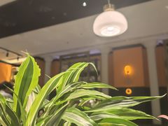 -半秋山西餐厅(巴南万达广场店)