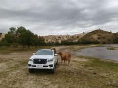 -塞罕坝国家级自然保护区