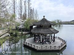 -茅家埠