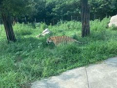 -西安秦岭野生动物园