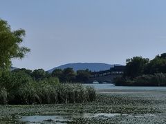 -长广溪湿地公园
