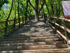 -栾川竹海野生动物园