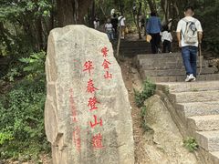 -紫金山山顶公园