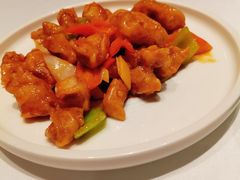 最东北锅包肉-百富源·海鲜辽菜(和平北大街店)