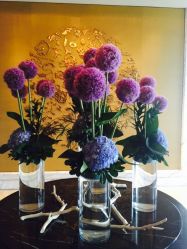 点击看大图 -巍阁高端月子会所