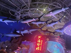 -烟台海昌鲸鲨海洋公园