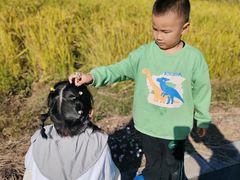 -前小桔亲子创意农场·草莓采摘·露营烧烤