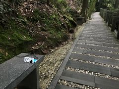 -十八棵（老龙井）御茶园(老龙井店)