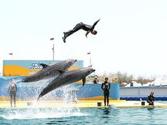 -秦皇岛乐岛海洋王国