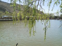 -新疆天山野生动物园