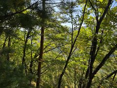 -五女峰国家森林公园