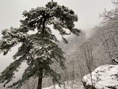 -秦岭终南山世界地质公园翠华山景区