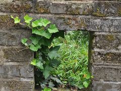 -梦姑塘文化公园