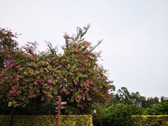 -南宁南湖公园