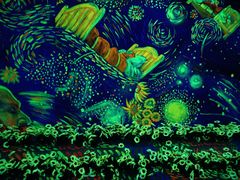 -成都梵高星空艺术馆(春熙路旗舰店)