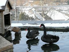 -南京圣和府邸豪华精选酒店