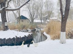 -三里河公园