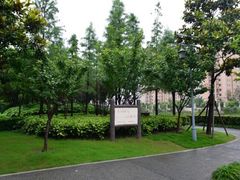 -陈家山荷花公园