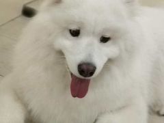 -佳雯宠物医院(四明中路分院)