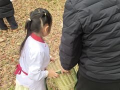 -菊园百果园