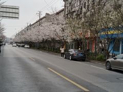 -永乐路-路侧停车场