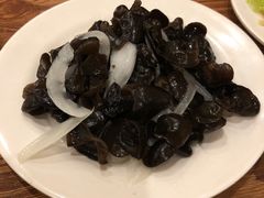 -清真吴记门钉肉饼·喜多利