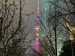 -陆家嘴中心绿地