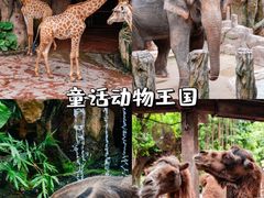 -长鹿旅游休博园