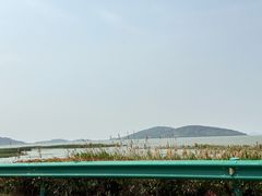 -苏州太湖西山岛开心农场