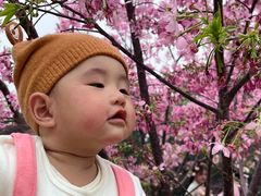 -雀儿山公园
