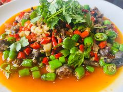 -飞虹鱼馆(南湖店)