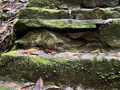 -云南屏边大围山国家公园