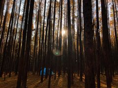 -山王坪喀斯特国家生态公园